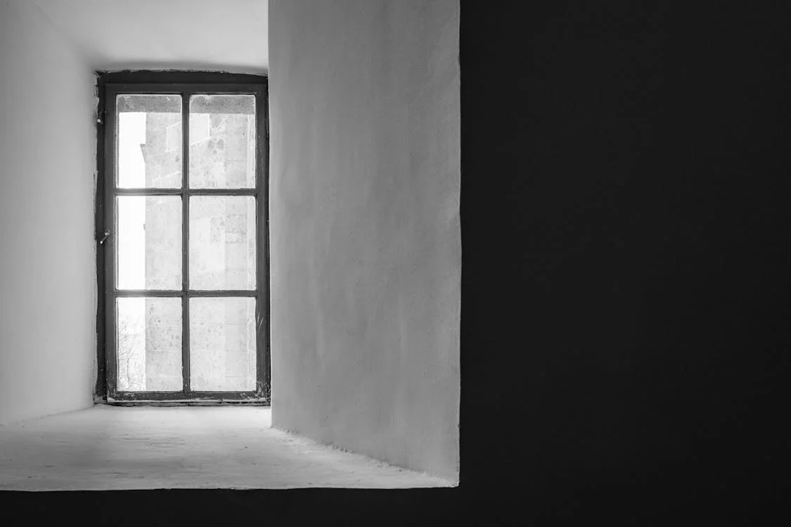 Emel Taşkesen | Açık Pencere