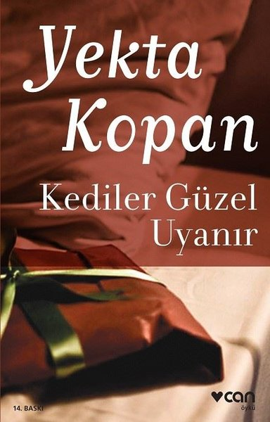 Kediler Güzel Uyanır, Öykü
