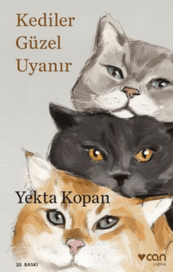 Kediler Güzel Uyanır, Can Yayınları